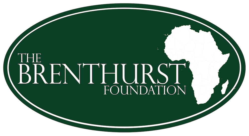 The Brenthurst Foundation